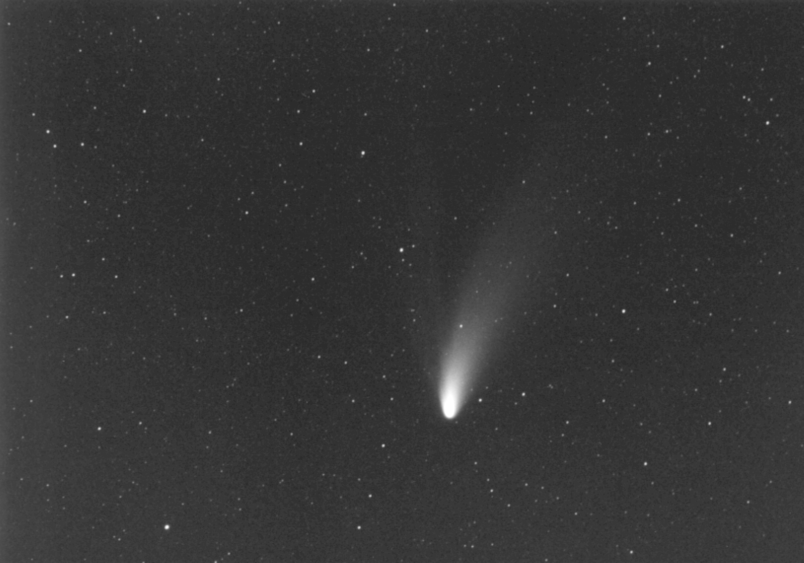 Another photo of Comet Hale-Bopp. Photo copyright Richard Pellessier